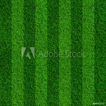 Picture of Green grass soccer field background